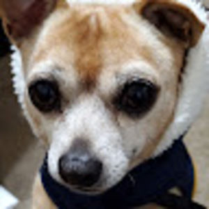 Meet your Posher, Jamie